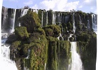 Iguazu Moss